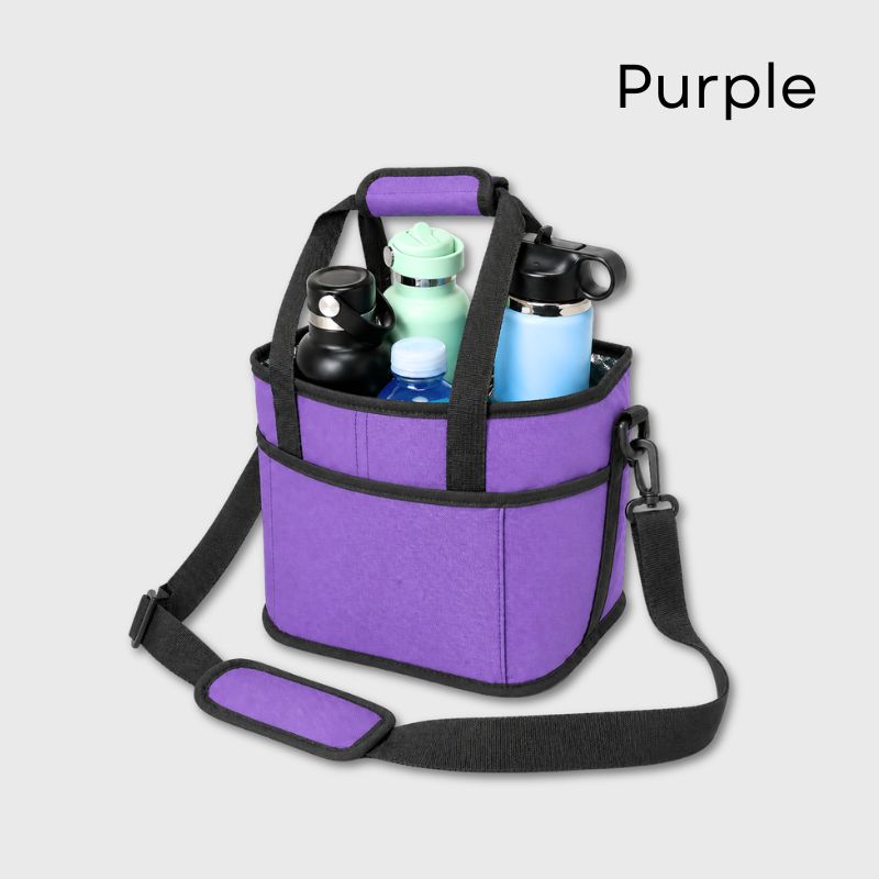 HydroHaul Insulated Drink Tote