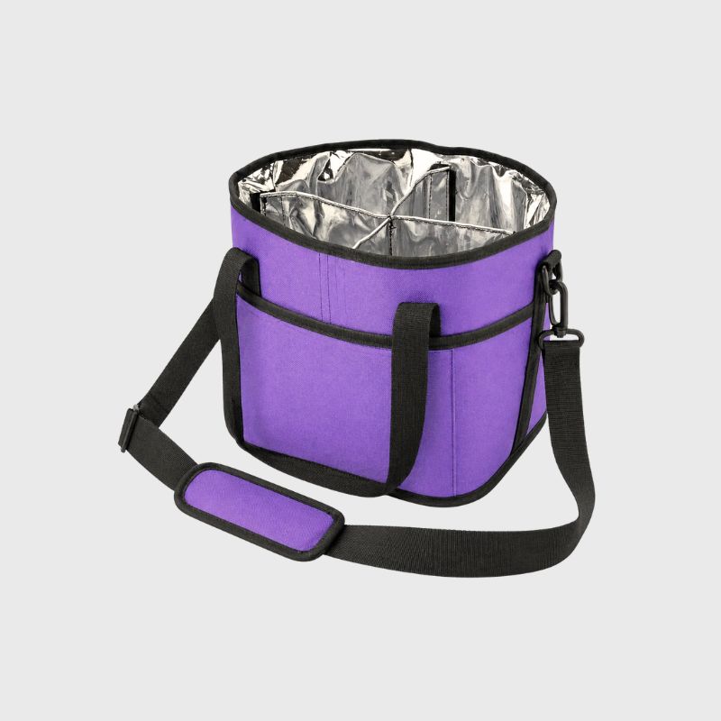 HydroHaul Insulated Drink Tote