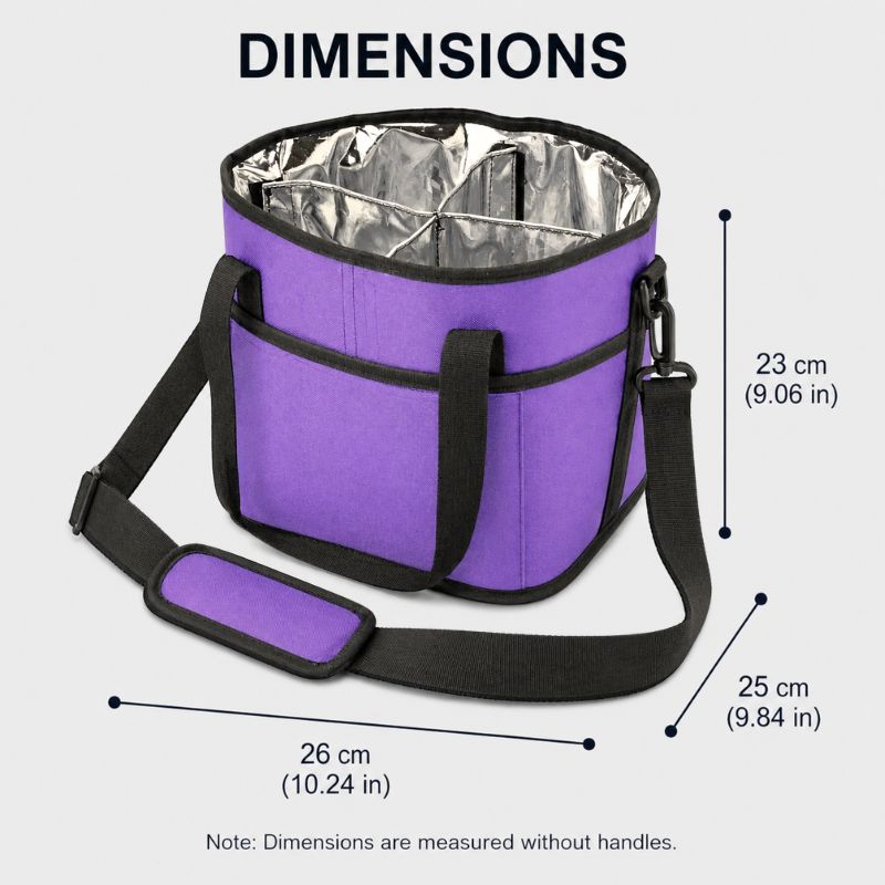 HydroHaul Insulated Drink Tote